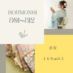 訪問着（160cm以上）